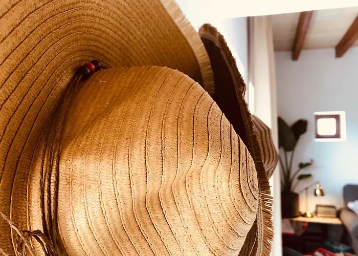 Appartement Bodega Botanica Tiagua